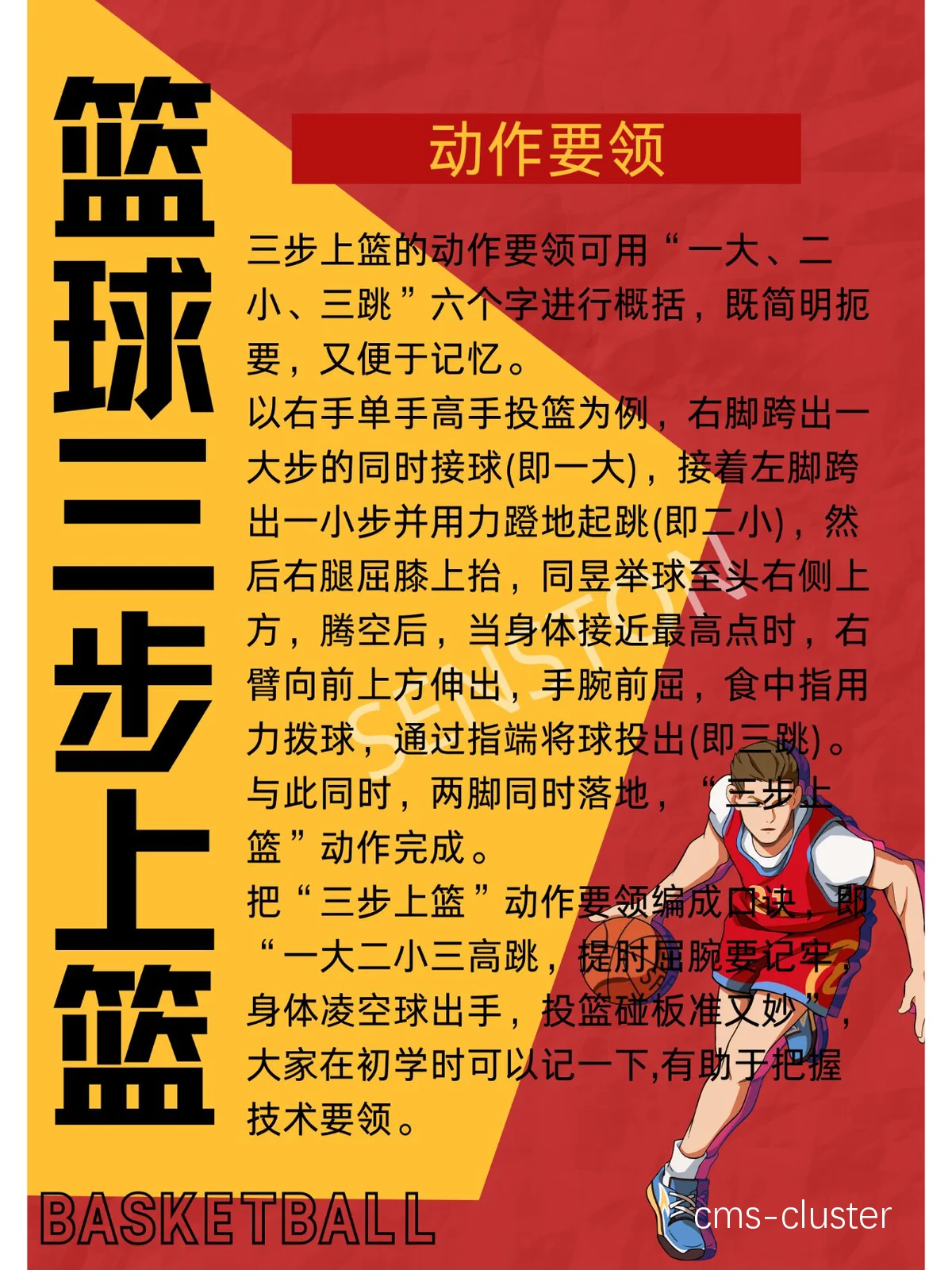篮球训练的动作有哪些